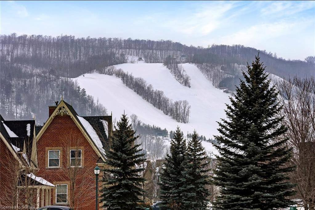 Cosy Chalet - 4 Season Family Oasis Collingwood Exterior photo